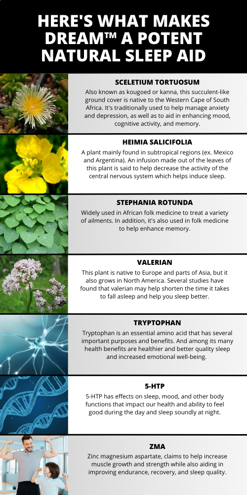 DREAM™ SLEEP FORMULA