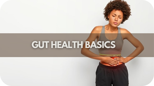 Gut Health Basics: Essential Knowledge for a Healthy Digestive System